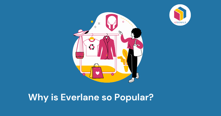 Why is Everlane so Popular?