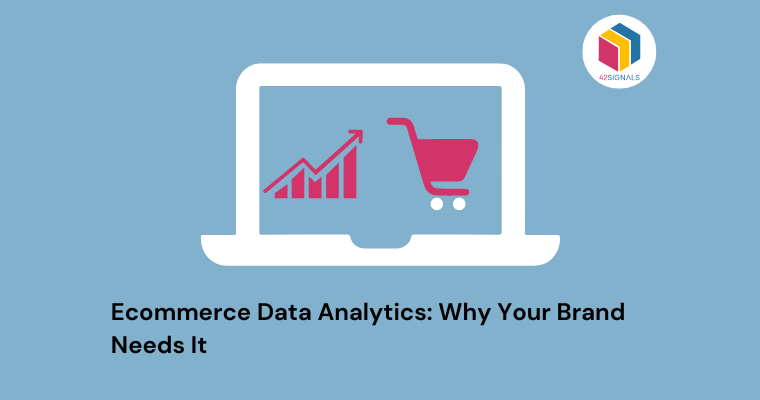 ecommerce data analytics needs for budding businesses